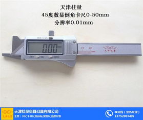 异形外沟槽卡尺订做,卡尺,桂量量具非标量具厂 查看